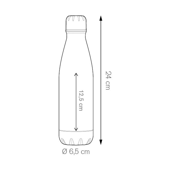 Alum Bottle 600