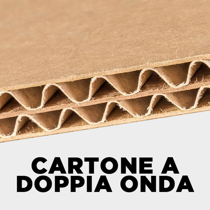 Cartone5