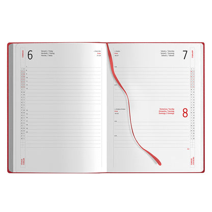 Block notes Agenda Giornaliera – conf. 20 pz