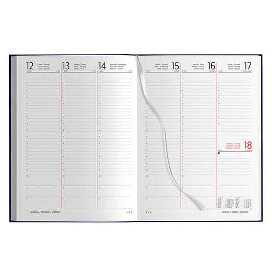 Agenda Settimanale Maxi