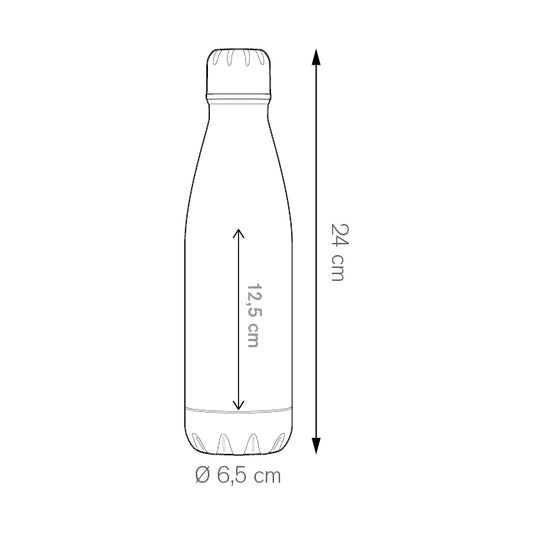 Alum Bottle 600