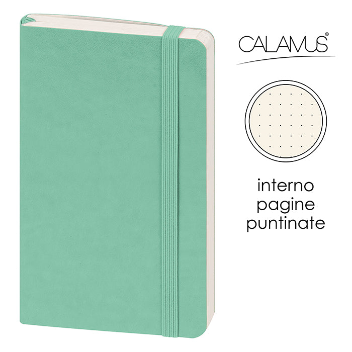 Notes Calamus CL161 – CL161AQPU