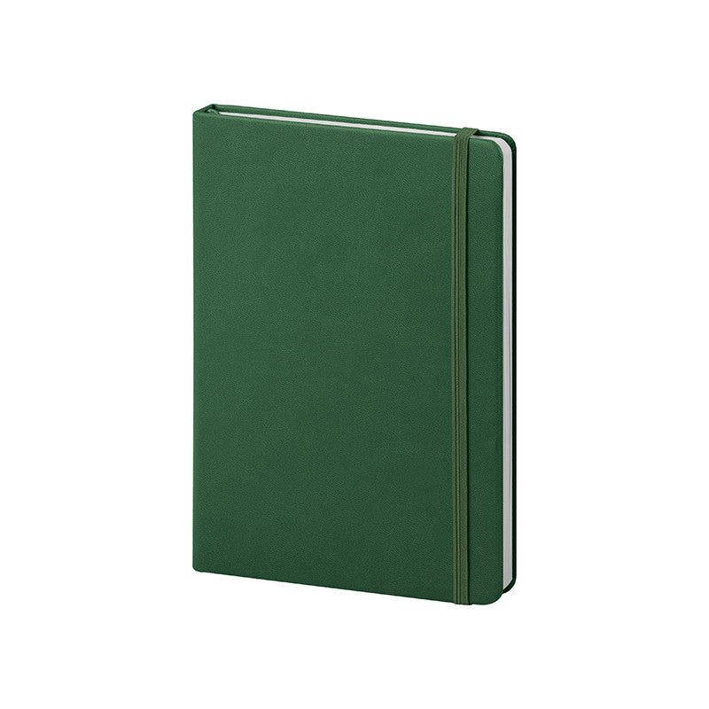 Pu Notes - Verde - PB622VE