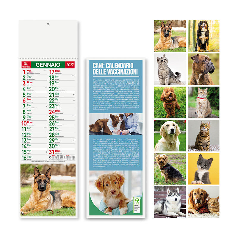 Calendario silhouette Cani e Gatti 2027 PA191